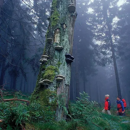 Hanses-braeutigam Schmallenberg