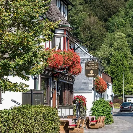 Hanses-braeutigam 3* Schmallenberg